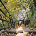 Photos: PB168482