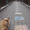 Photos: PB168495
