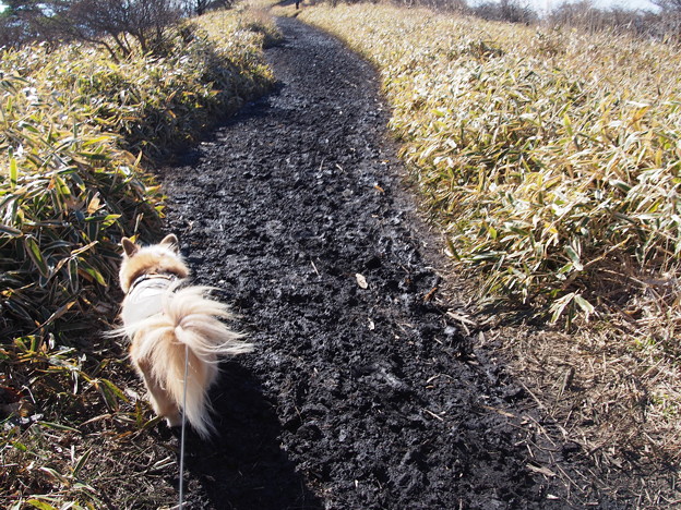 Photos: PC018437