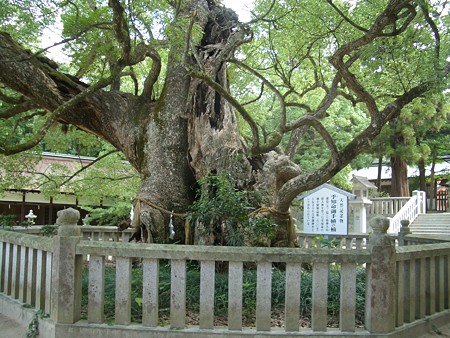 しまなみ街道2008 146