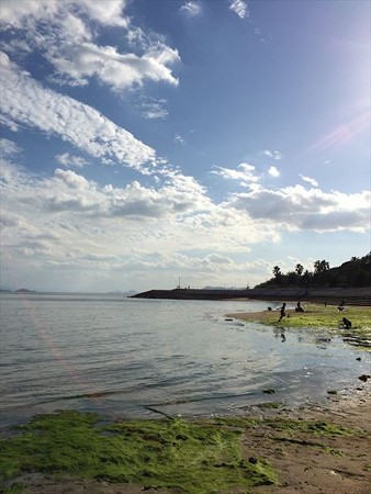 IMG_2633_R