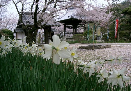 松尾寺すいせん