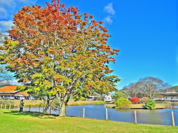 PRINCE  SHOPPING PLAZA＃2(HDR)