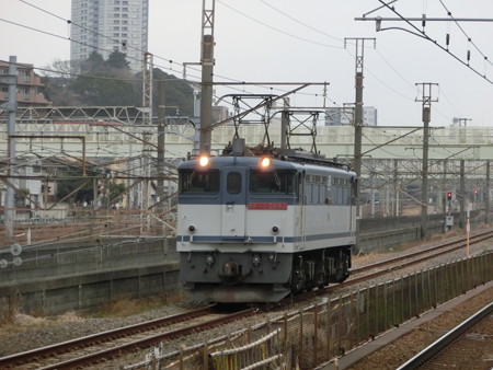 CIMG0118