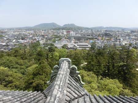 CIMG0446