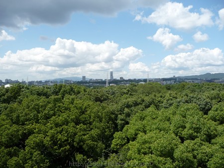 140830-万博記念公園 (22)