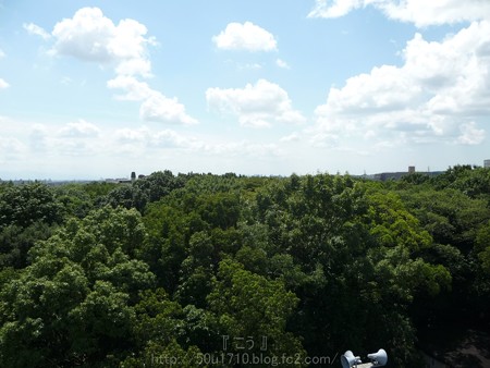 140830-万博記念公園 (24)