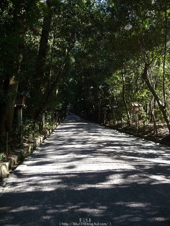 151230-三輪神社 (10)