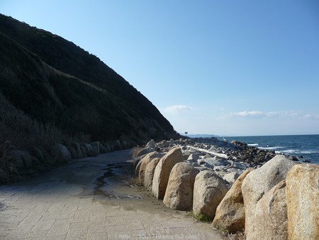 160110-伊良湖岬 (2)