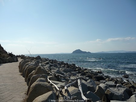 160110-伊良湖岬 (5)