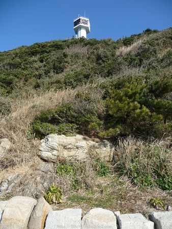 160110-伊良湖岬 (14)