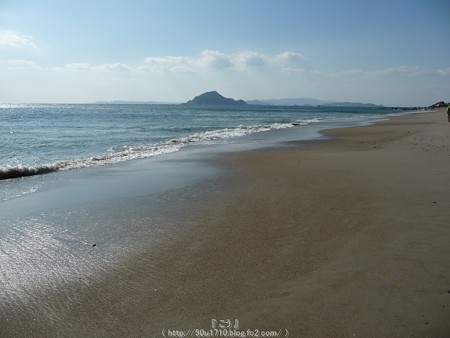 160110-伊良湖岬 (25)