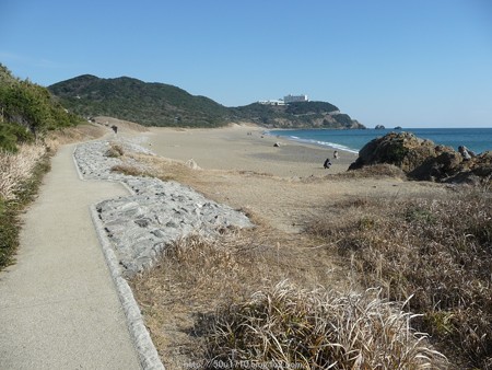 160110-伊良湖岬 (44)