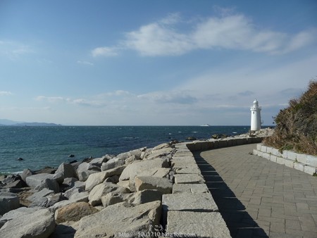 160110-伊良湖岬 (48)