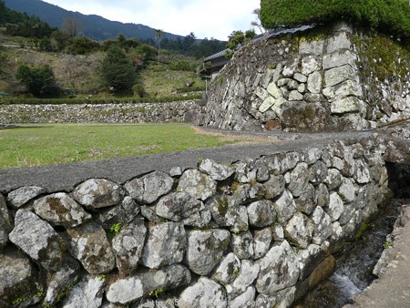 160324-熊野古道 大門坂 (15)