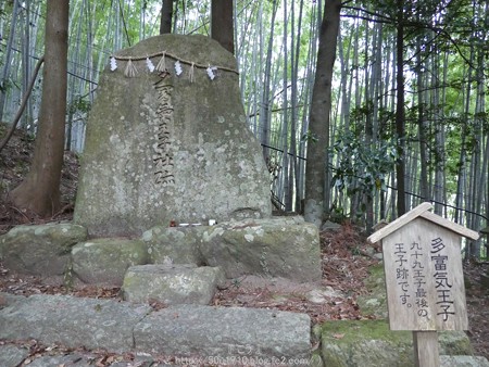 160324-熊野古道 大門坂 (40)