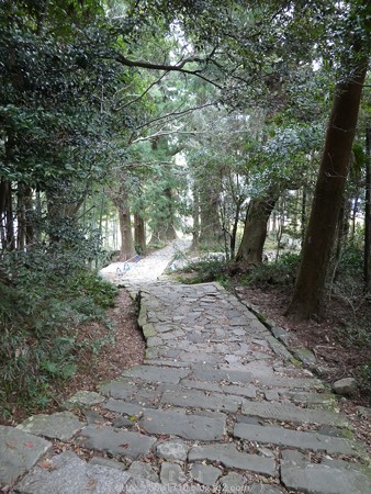 160324-熊野古道 大門坂 (42)