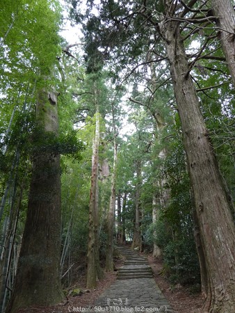 160324-熊野古道 大門坂 (47)