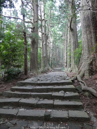 160324-熊野古道 大門坂 (57)