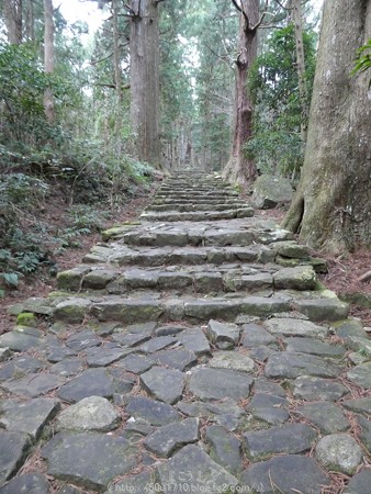 160324-熊野古道 大門坂 (61)