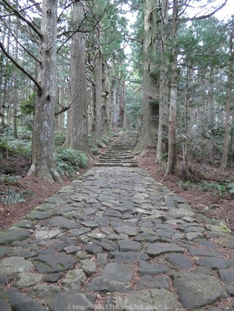160324-熊野古道 大門坂 (66)