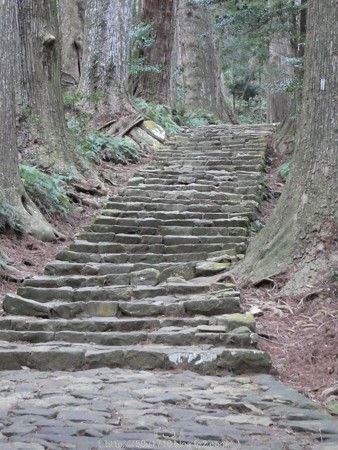 160324-熊野古道 大門坂 (67)