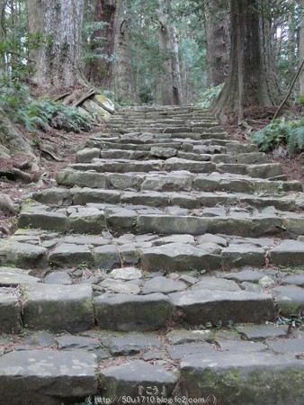 160324-熊野古道 大門坂 (69)