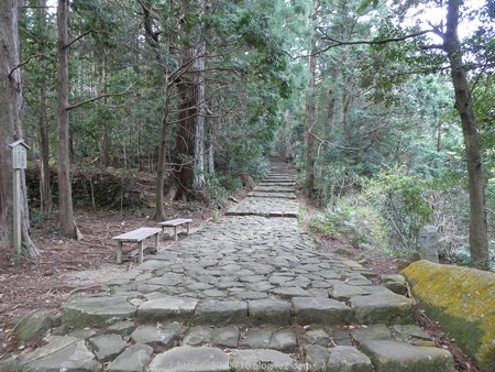160324-熊野古道 大門坂 (72)