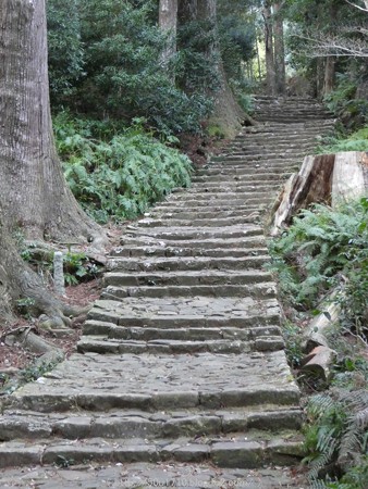 160324-熊野古道 大門坂 (80)