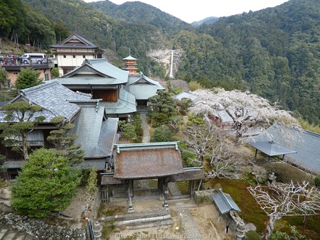 160324-青岸渡寺 (3)