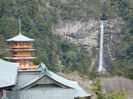 160324-青岸渡寺 (4)