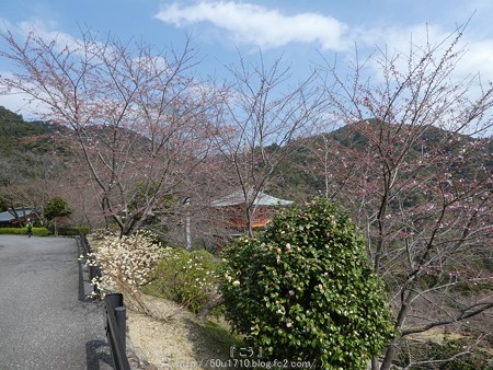 160324-青岸渡寺 (9)