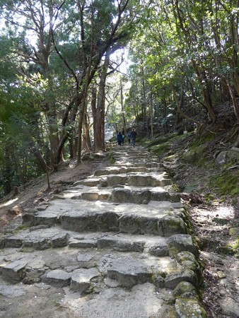 160324-神倉神社 (13)