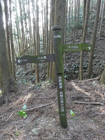 160325-熊野古道 小辺路 (5)