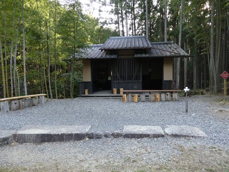 160325-熊野古道 小辺路 (8)
