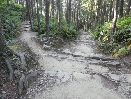 160325-熊野古道 小辺路 (29)