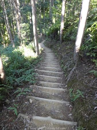 160325-熊野古道 小辺路 (45)