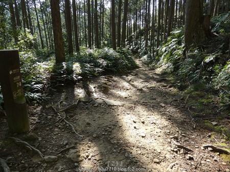 160325-熊野古道 小辺路 (53)