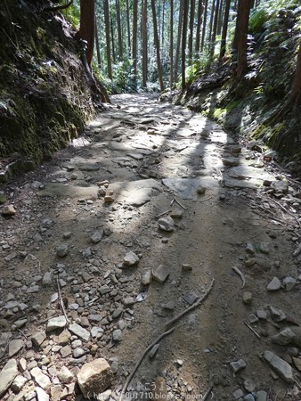 160325-熊野古道 小辺路 (56)
