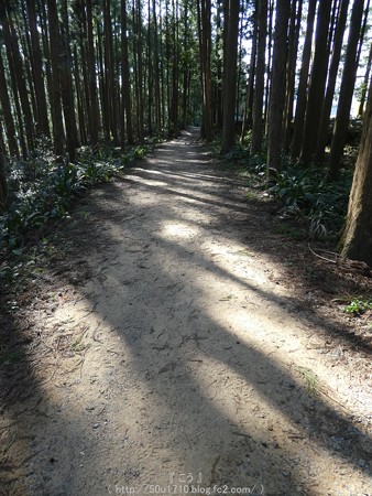160325-熊野古道 小辺路 (62)