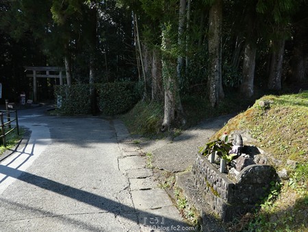 160325-熊野古道 小辺路 (71)