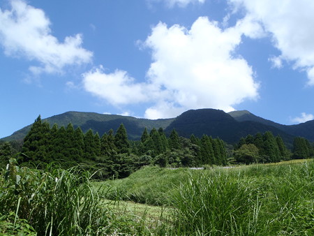 P9070096