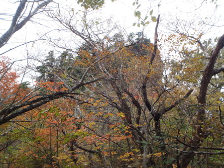 14102010