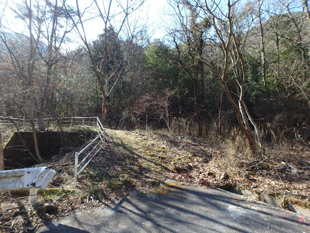 P2070003