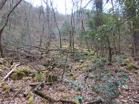 P2070011