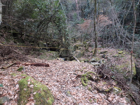 P2070012
