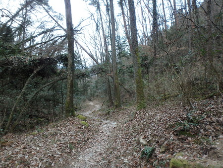 P2070038