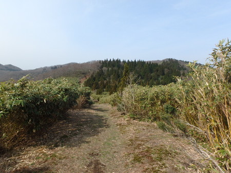 P4090032