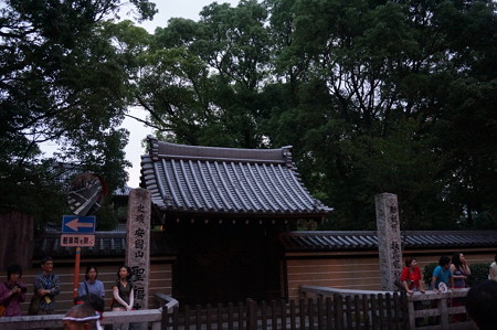 2014年 博多祇園山笠 追い山 写真 (72)