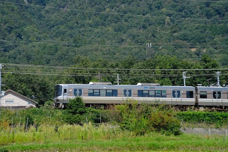 223系